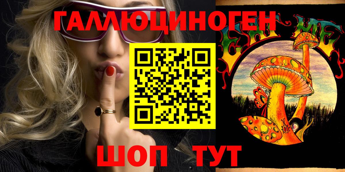 Псилоцибиновые грибы Psilocybine cubensis  наркота  Будённовск  Вход с VPN 