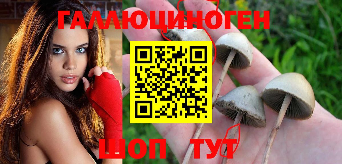 Псилоцибиновые грибы мухоморы Будённовск
